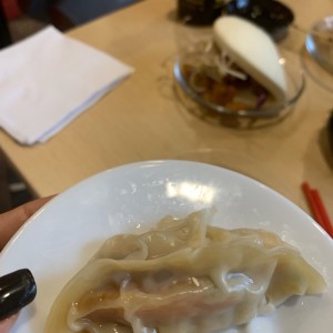 Dumplings (Gyozas) - Veggie