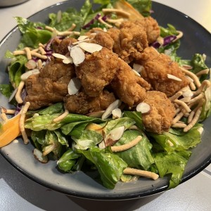 Oriental Chicken Salad Regular