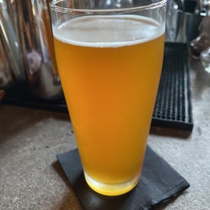 Mango wheat