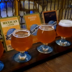 Degustacion de Cervezas