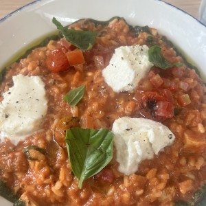 Risottos - Risotto Caprese