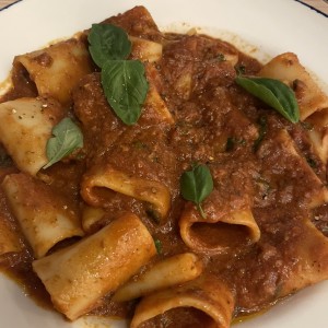 Pastas - Paccheri Alla Bolognesa