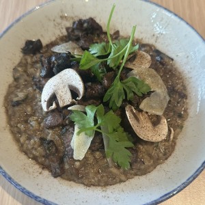 Risottos - Risotto Funghi