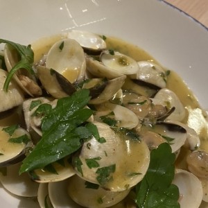 Vongole