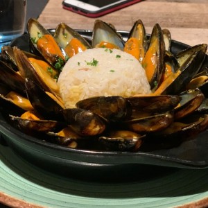 Moules Casablanca