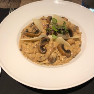 Risotto Funghi e Bue