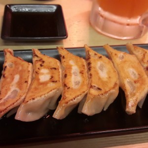 Empanaditas Gyoza