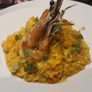 Risotto