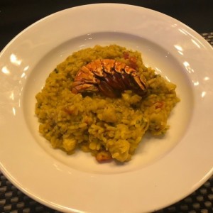 Risottos - Risotto de Langosta