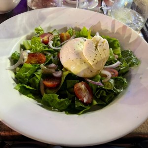 Burrata