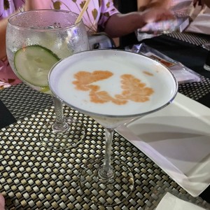 Gin Tonic y Pisco Sour