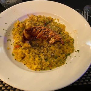 Risottos - Risotto de Langosta