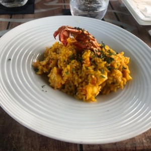 Risotto de Langosta