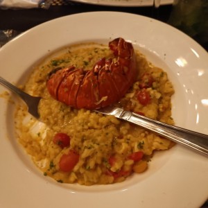 Risottos - Risotto de Langosta