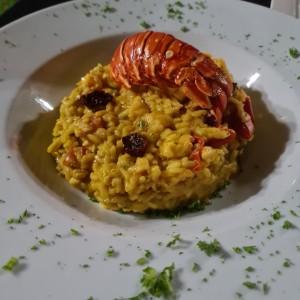 Risotto de Langosta