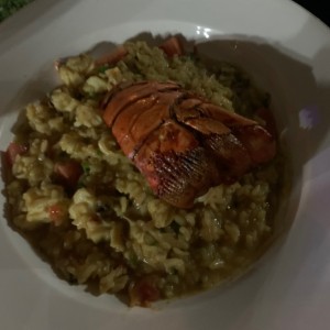 Risottos - Risotto de Langosta