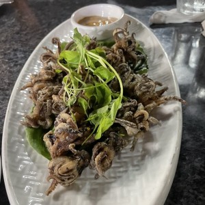 Arañitas de calamar
