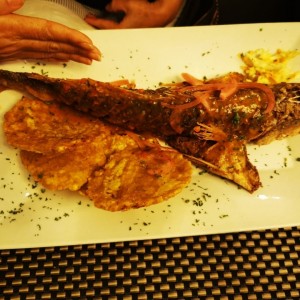 Pescado entero corvina al gril