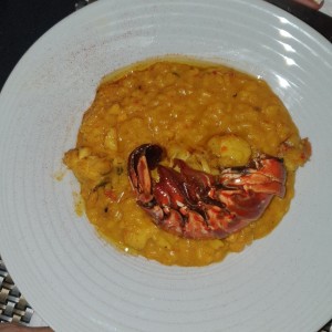 Risotto de Langosta