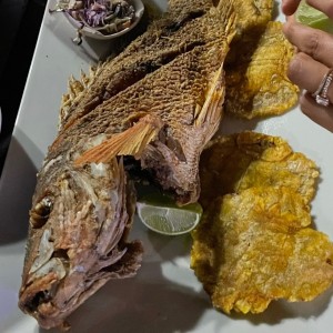 Pescado Frito al Grill o al Ajillo