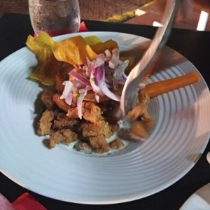 ceviche frito