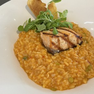 Risotto de Salmon