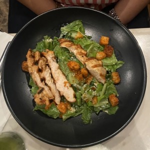 Filete de Pollo