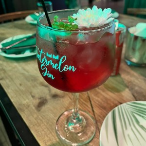 Watermelon Gin 