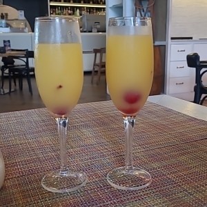 Mimosa