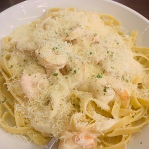 Shrimp Alfredo