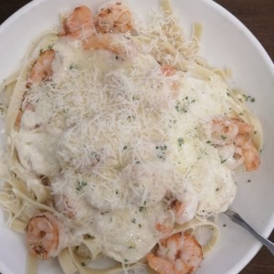 Shrimp Alfredo