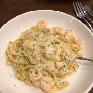 Shrimp Alfredo