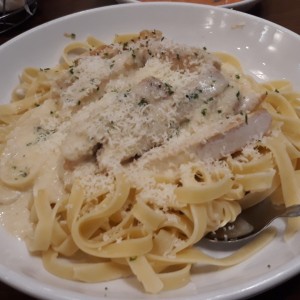 chicken alfredo pasta 