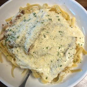 Clasicas Favoritas - Chicken Alfredo