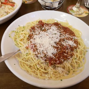 bolognesa