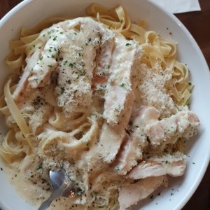 chicken alfredo 