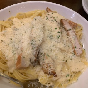 Clasicas Favoritas - Chicken Alfredo