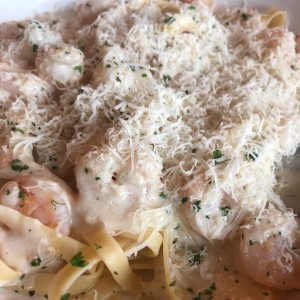 Shrimp Alfredo