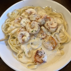 Amazing Alfredos - Shrimp Alfredo