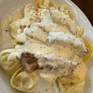 Asiago Tortelloni Alfredo With Grilled Chicken