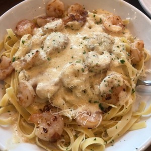 Shrimp Alfredo