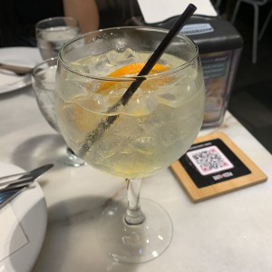 Gin tonic - naranja