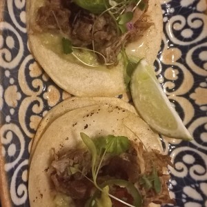 Taco de Carnitas