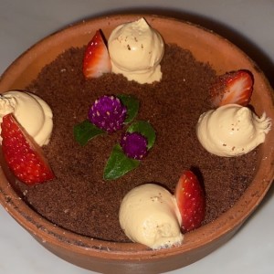 CAFTED DESSERTS - MACETA PRIMITIVO M.M