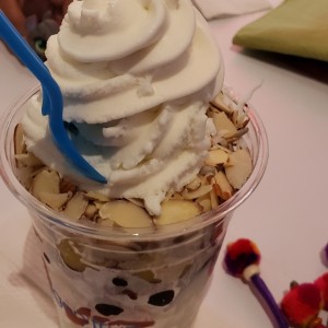 Parfait con frutos silvestres 