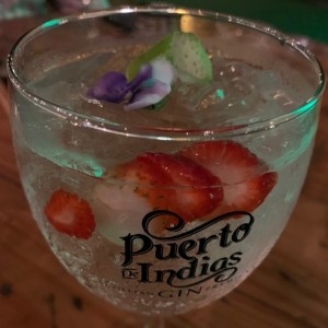 Puerto de Indias Gin