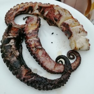 Pulpo