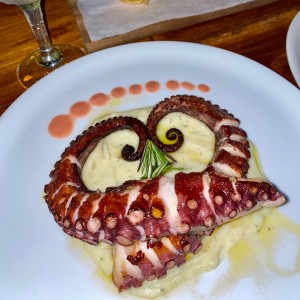 Octopus