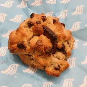 chocolate chip cookie