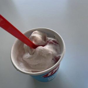 Mini Blizzard de cheesecake